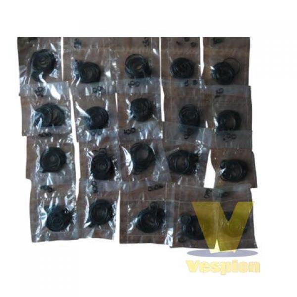 Repair Kits for Belma RP-24 Valves